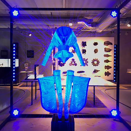 Transflora-at-Cube-design-museum