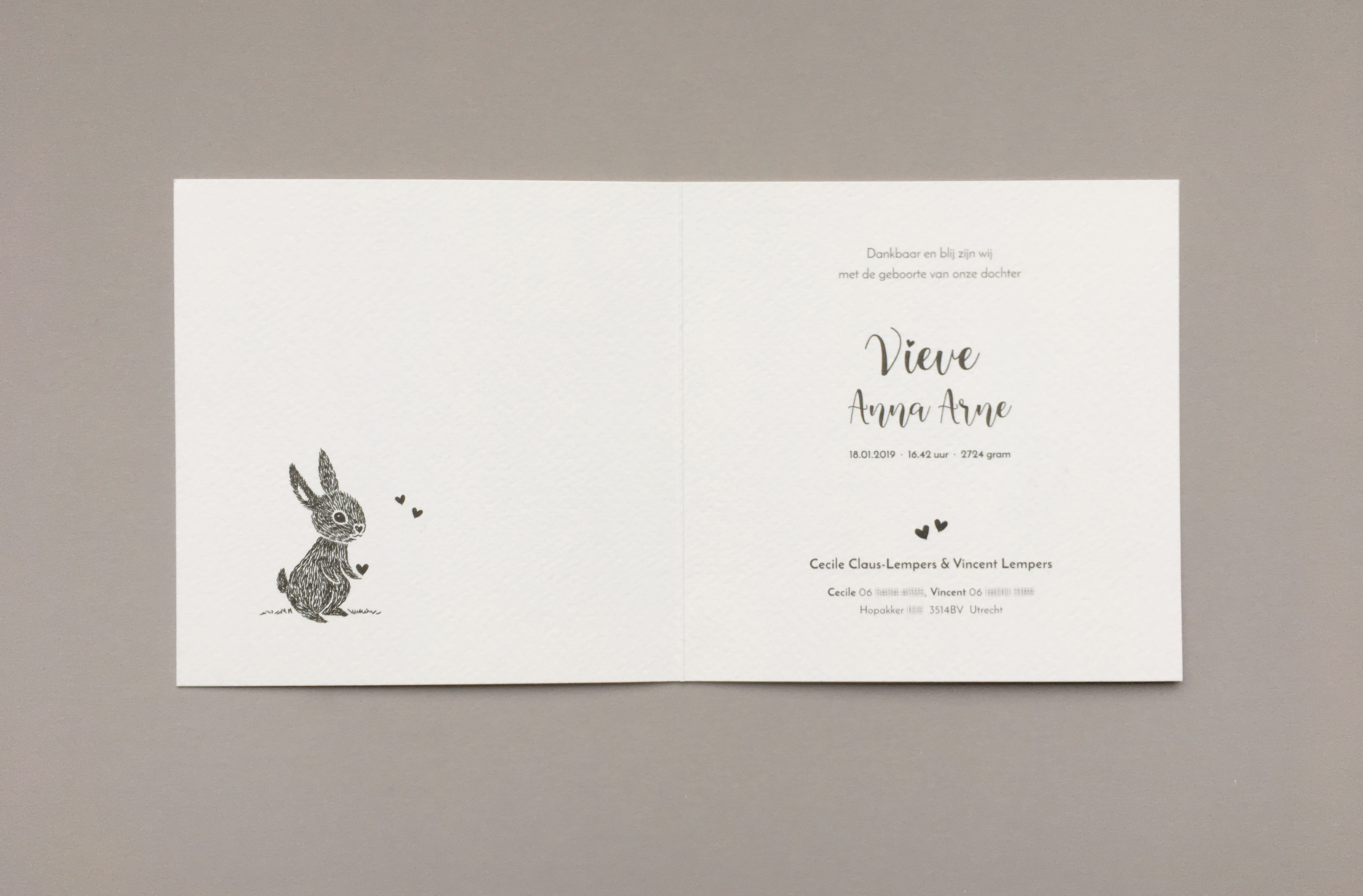 birth-announcement-Vieve