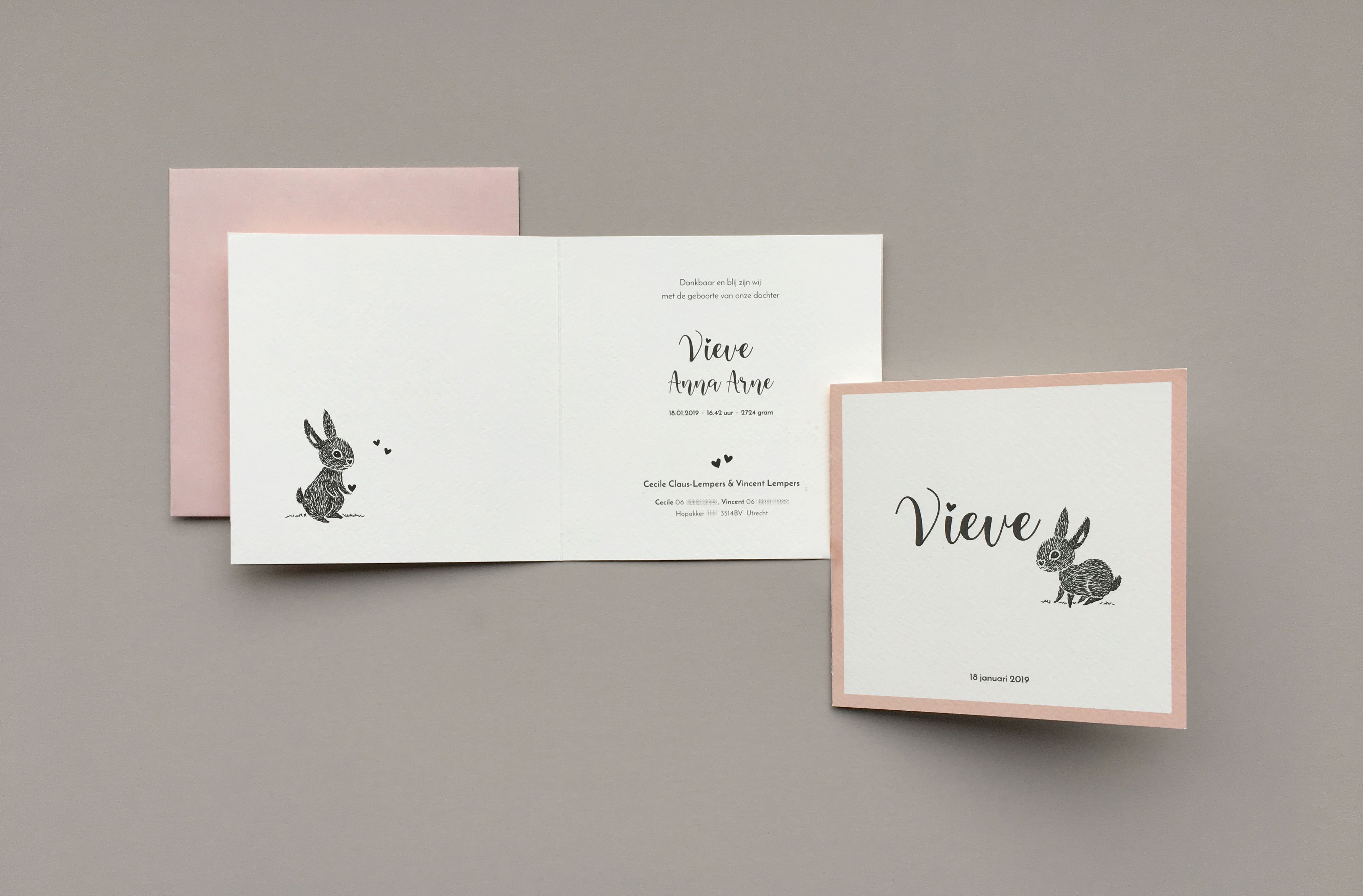 birth-announcement-Vieve