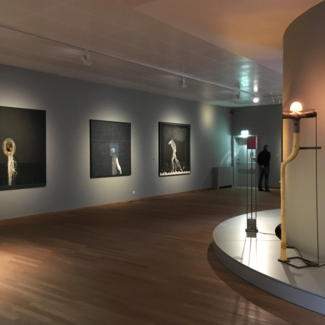 Morrie&Me-David-Lynch