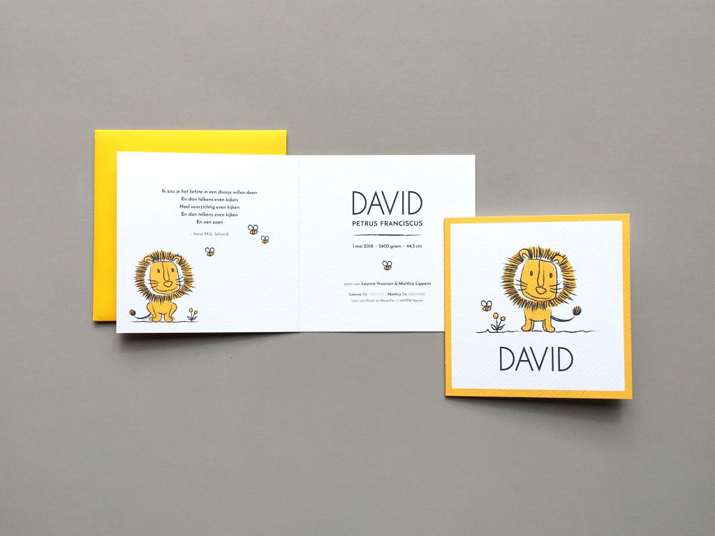 birth-announcement-david