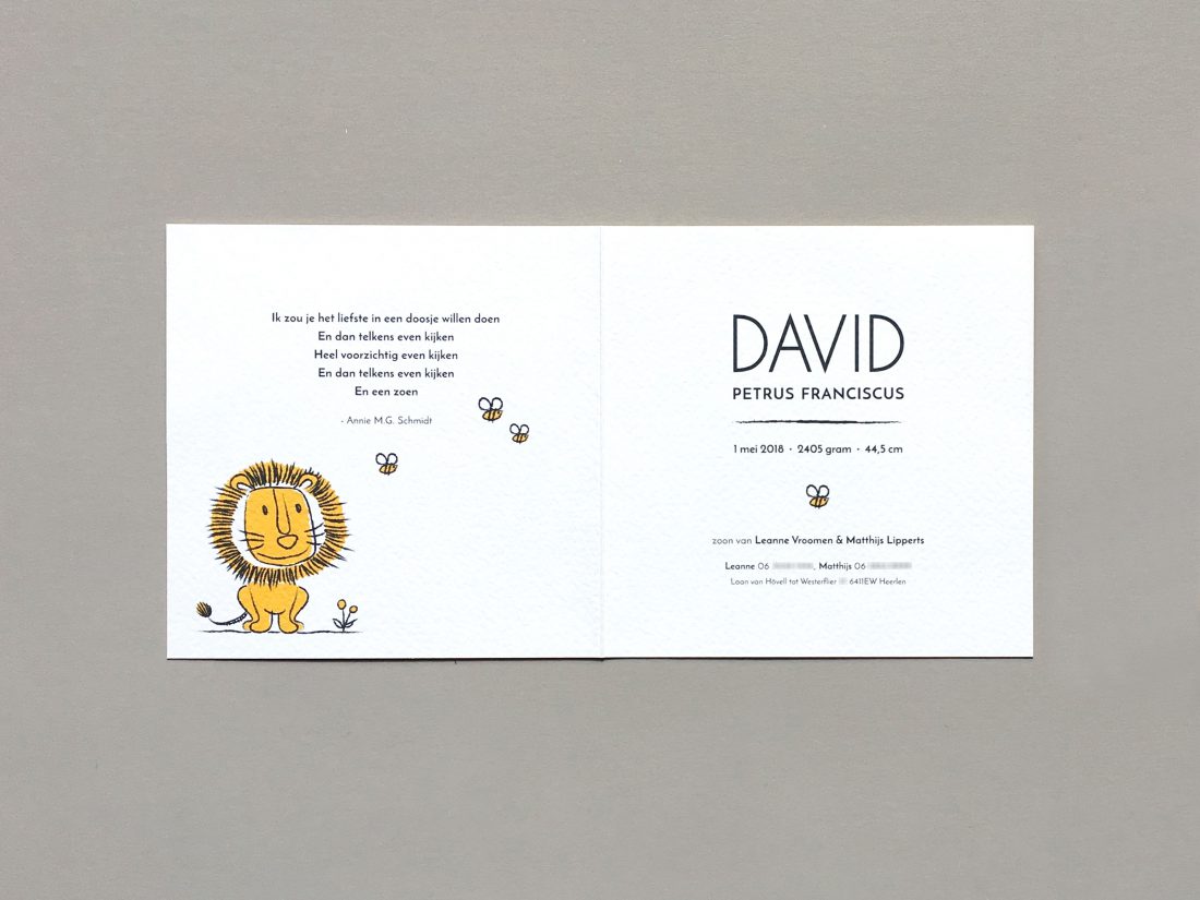 birth-announcement-david