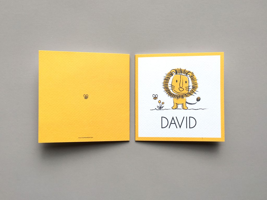 birth-announcement-david