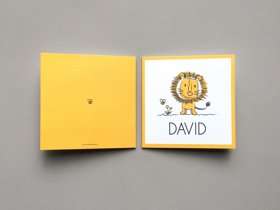 birth-announcement-david