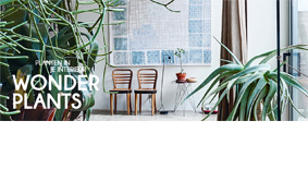 Book : Wonderplants