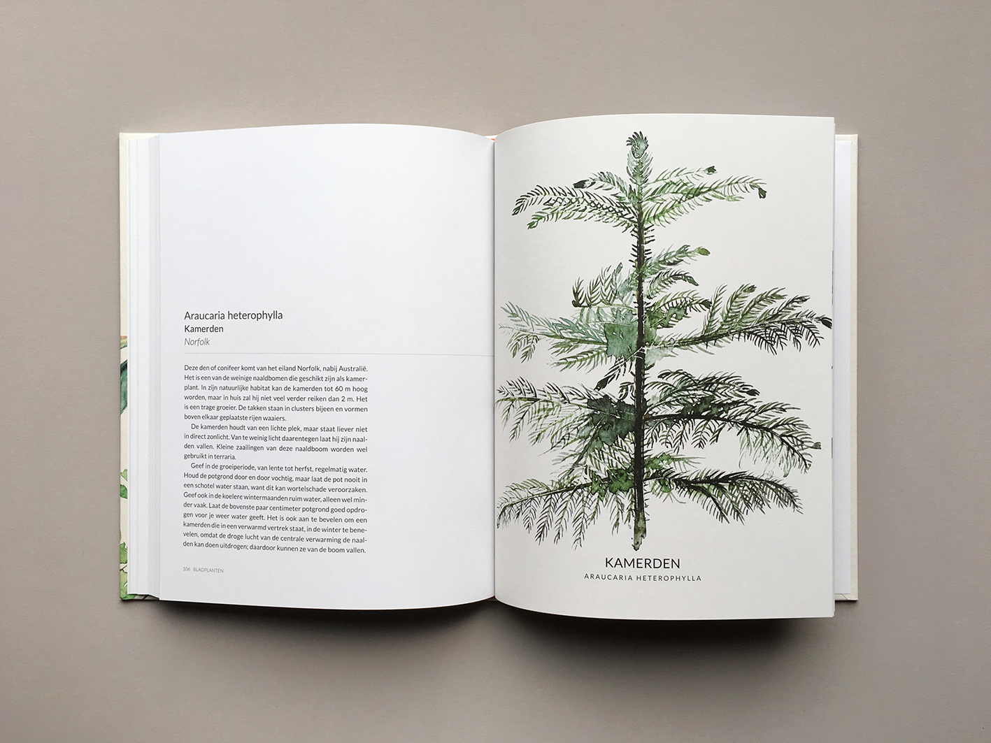 Groen-Geluk-Urban-Botanics