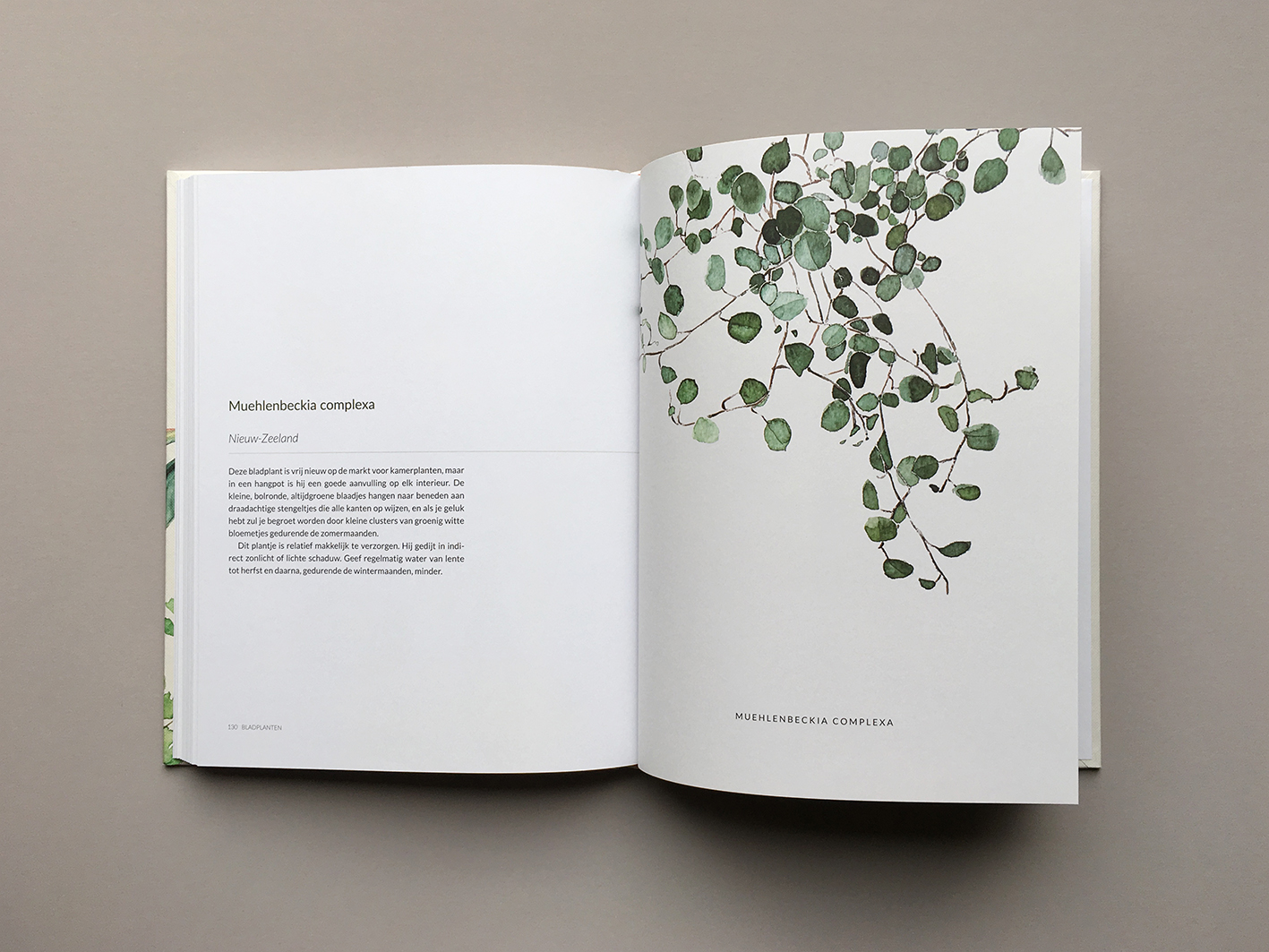 Groen-Geluk-Urban-Botanics