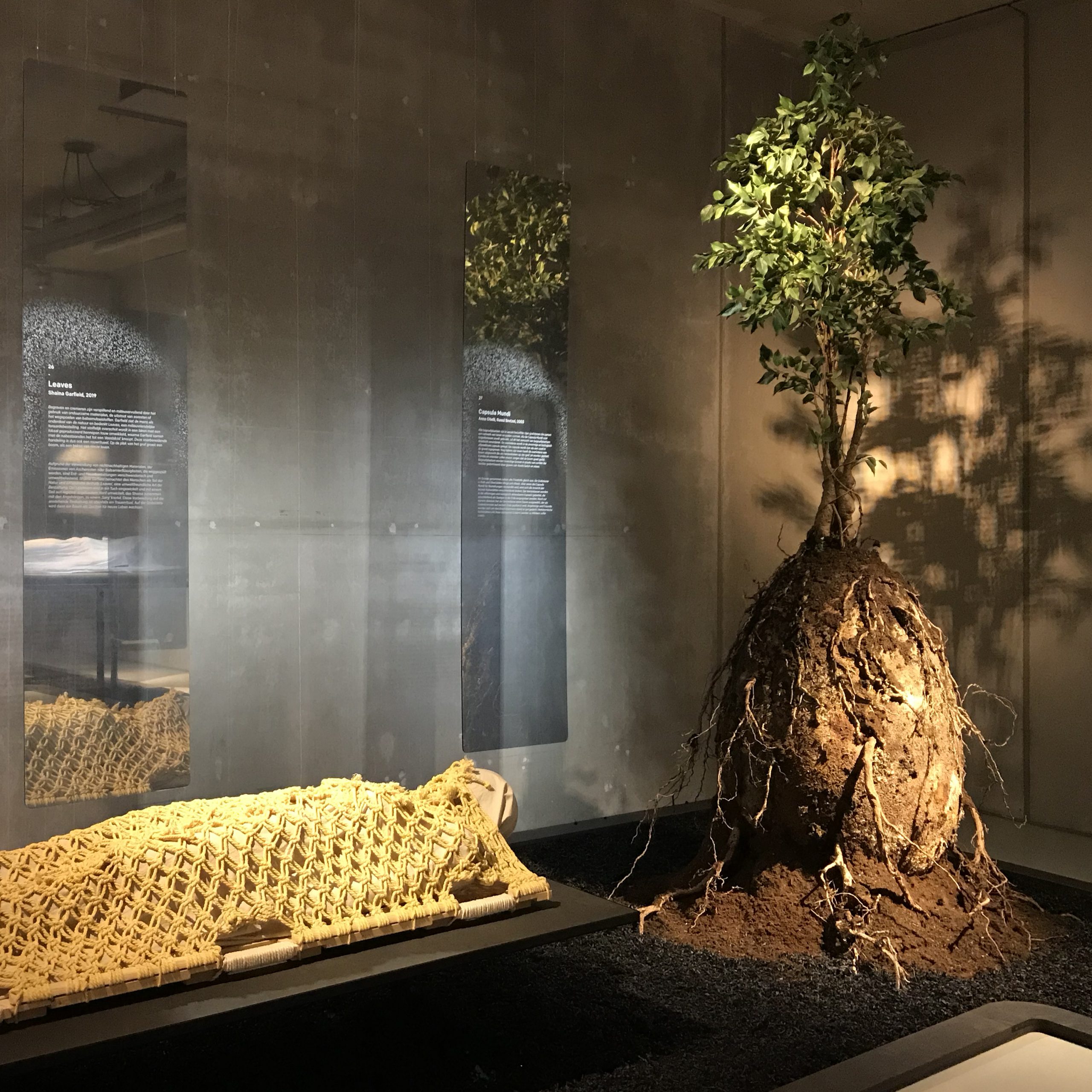 Morrie&Me-Cube-design-museum-(Re)design-Death